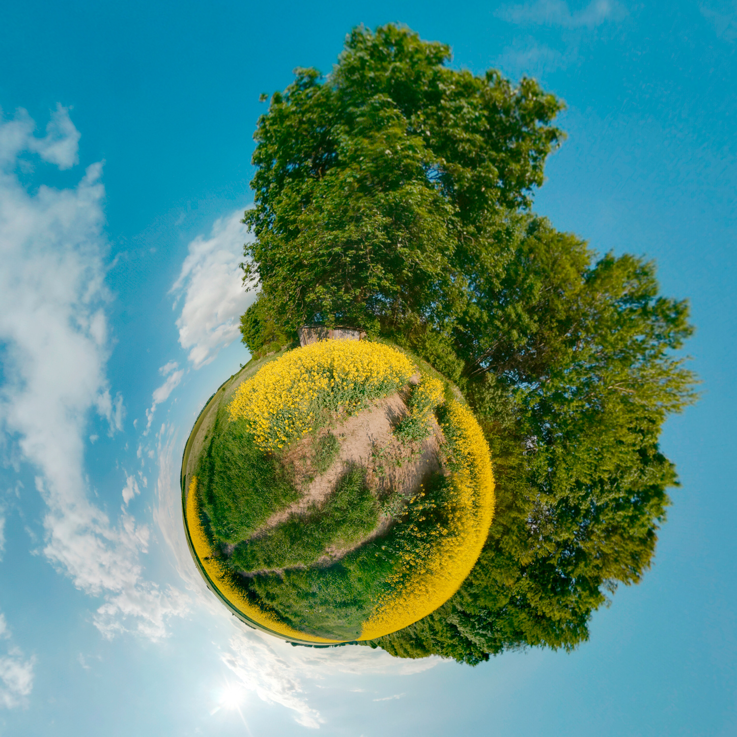 Panorama 163 - Little Planet